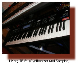 1 Korg TR 61 (Synthesizer und Sampler)