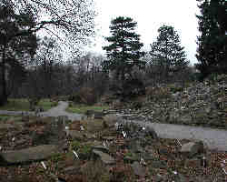 Botanischer Garten in Dresden-Seevorstadt