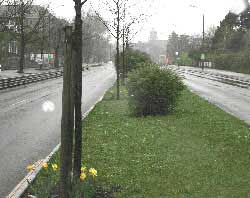 TU Dresden, Zellischer Weg