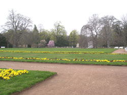 Frühling im Großen Garten in Dresden-Seevorstadt