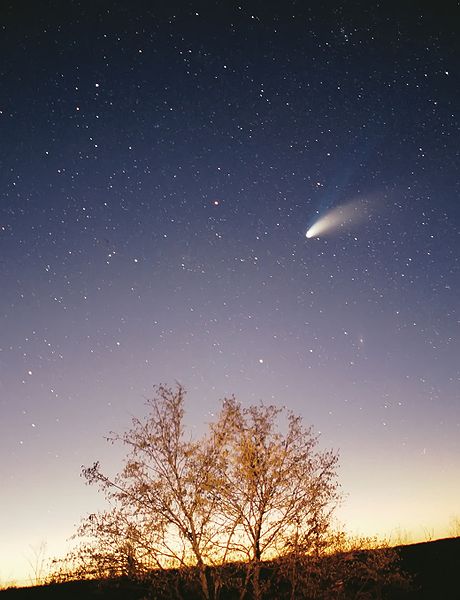 http://commons.wikimedia.org/w/index.php?title=File:Comet-Hale-Bopp-29-03-1997_hires_adj_filtered.jpg&oldid=4335203