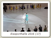 Eissporthalle 2016 (17)