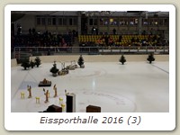 Eissporthalle 2016 (3)