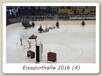 Eissporthalle 2016 (4)