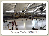 Eissporthalle 2016 (9)