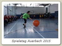 Spieletag Auerbach 2015