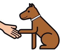 hund_pfote hund_pfote
