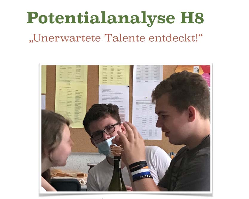 Potentialanalyse H8