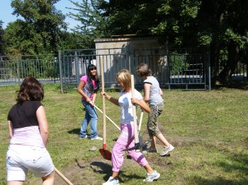 Arbeit im Kräutergarten