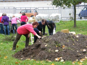 Arbeit im Kräutergarten