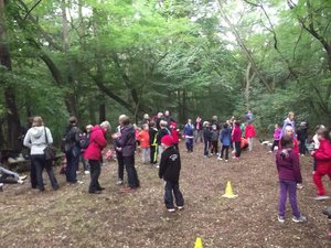 Herbstcrosslauf im Glaubitzer Wald