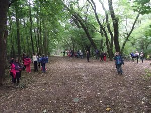 Herbstcrosslauf im Glaubitzer Wald