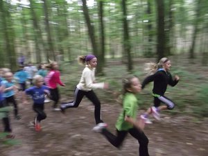 Herbstcrosslauf im Glaubitzer Wald