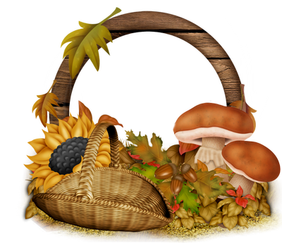 images/Herbst_1.png