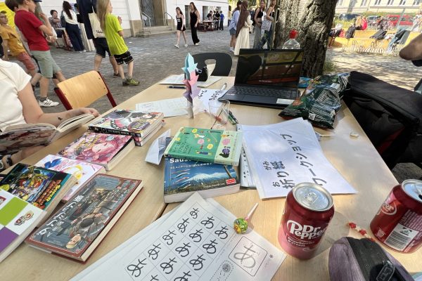 Sommerfest_2025 (12)