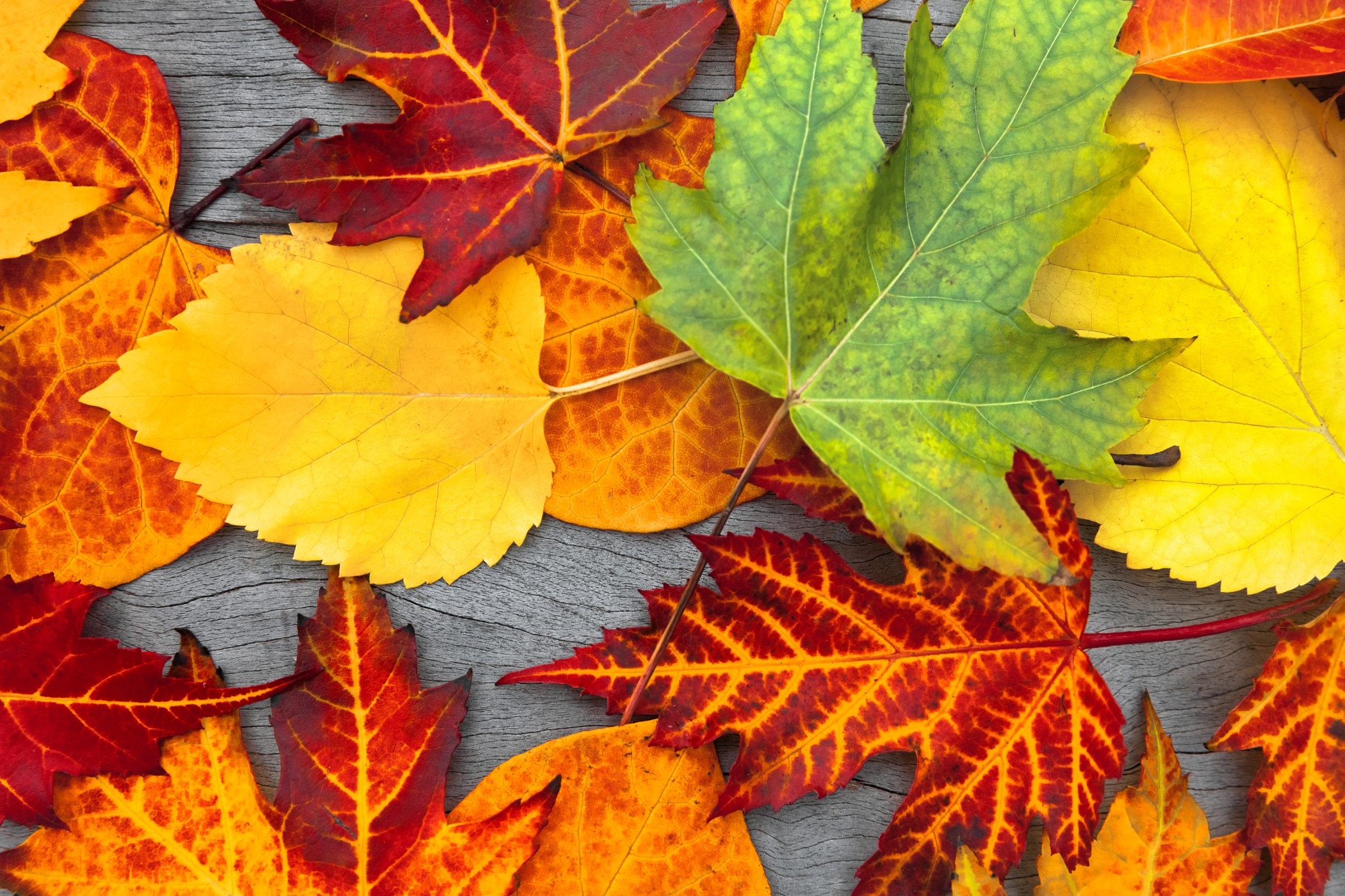 Herbstferien 2025