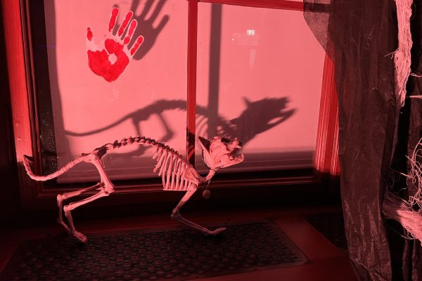 Humboldtween_2025 (8) Humboldtween_2025 (8)