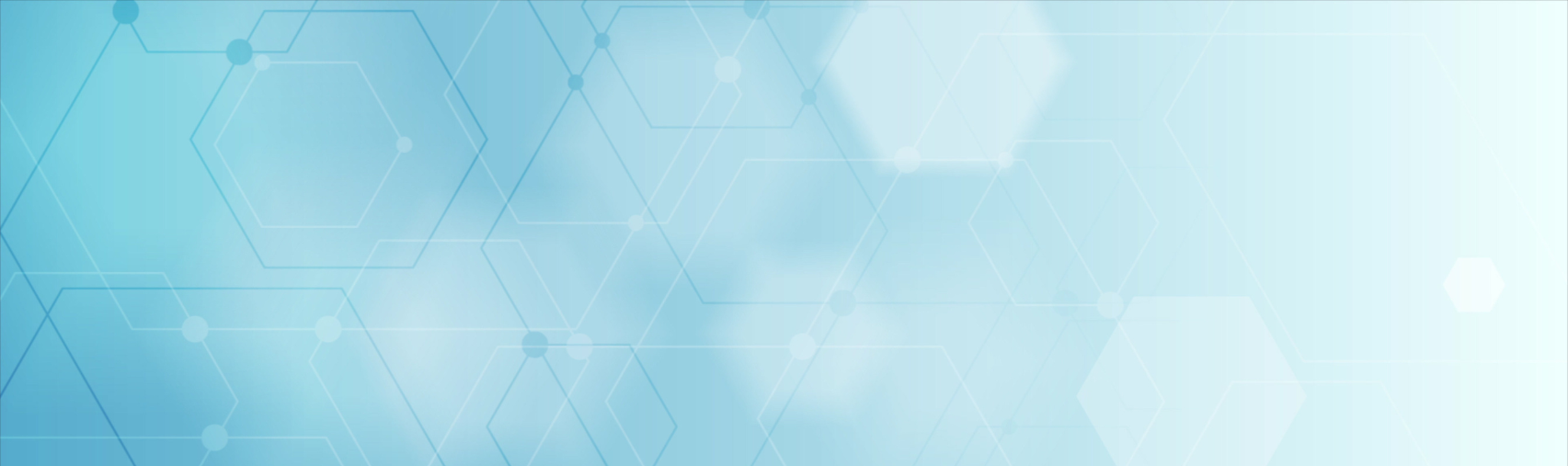 Biberwettbewerb 2024/25 – Premiere mit Erfolg!