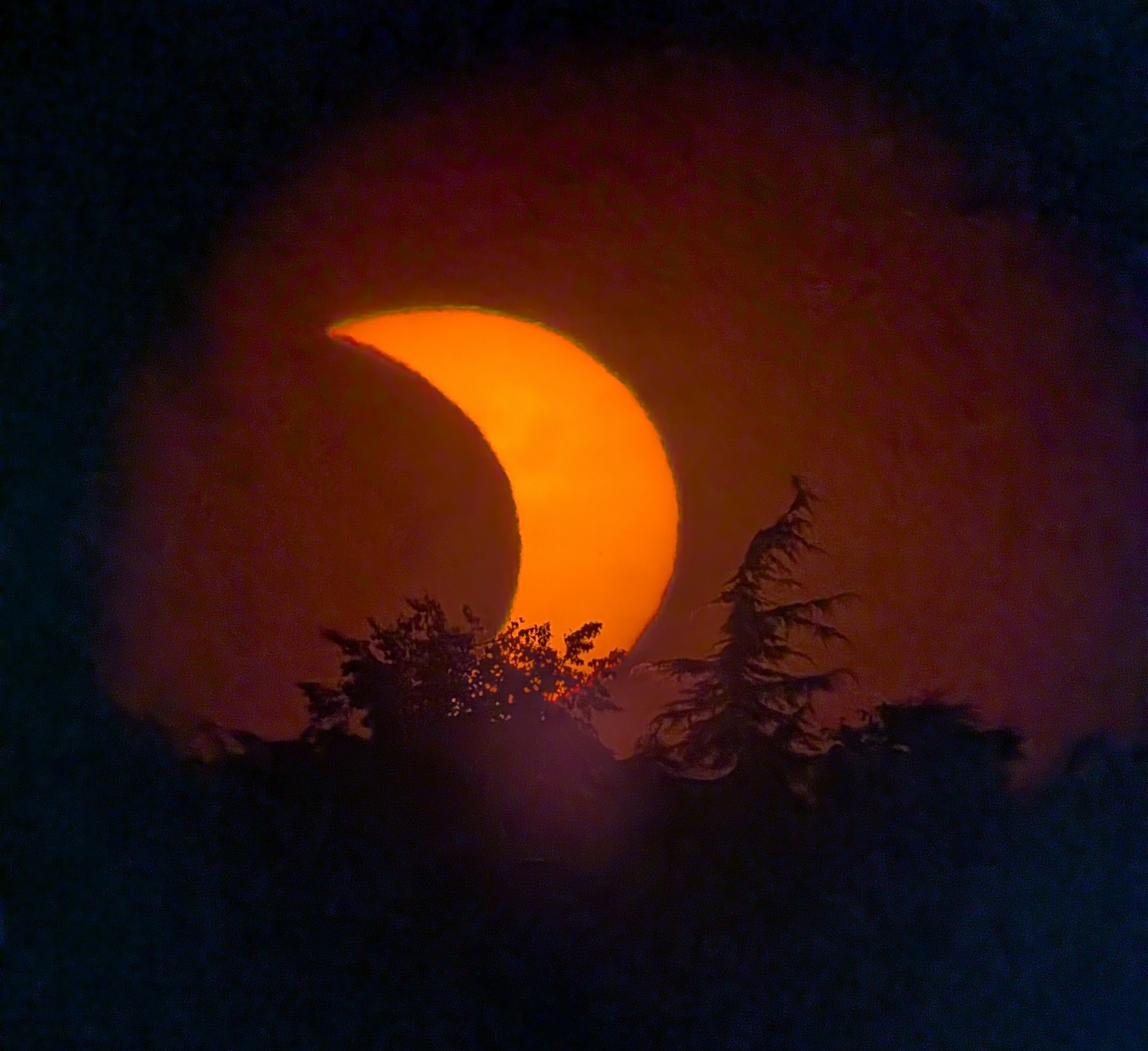 Blick in den Sonnenuntergang