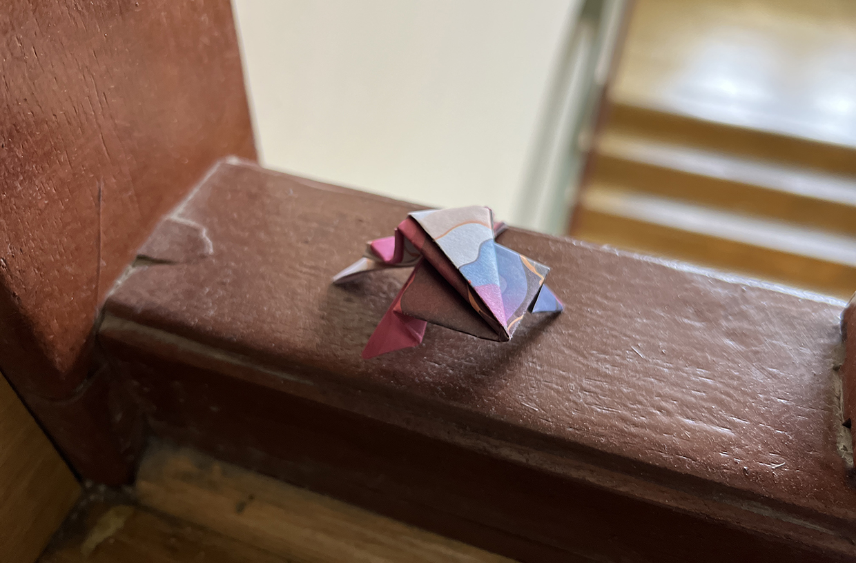 Froschalarm im Schulhaus