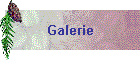 Galerie