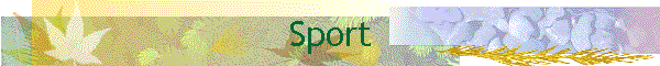 Sport