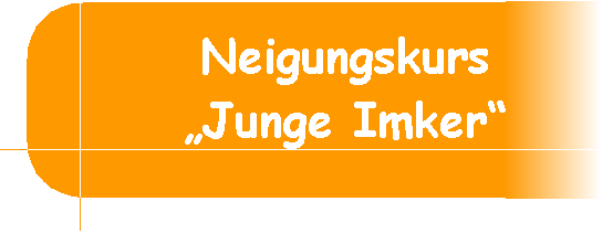 Informationen und Bilder zum Neigungskurs