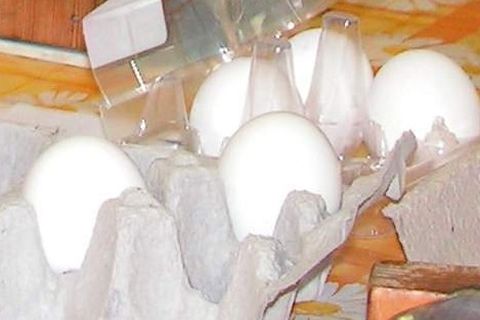 ostert10.JPG