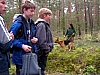 Bericht und Bilder