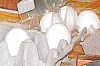 ostert10.JPG