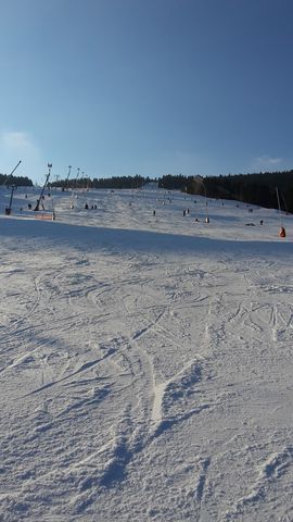 ski20.jpg