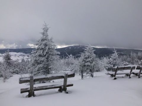 Ski16.jpg