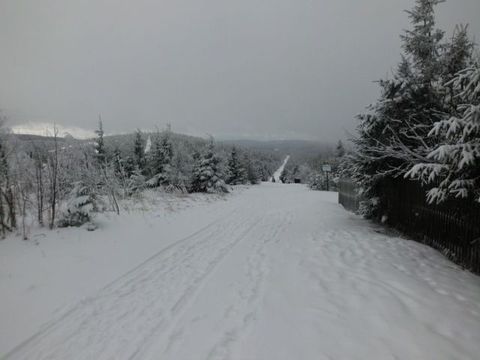 Ski18.jpg