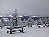 Ski16.jpg