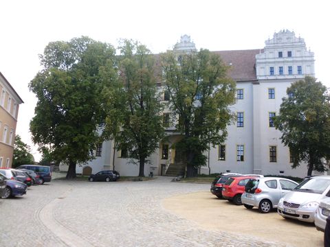 sprl54.JPG