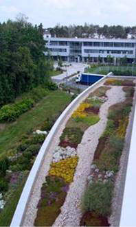 Umwltschutz - Infineon