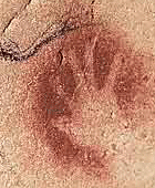 Ein Dresdner Pochoir